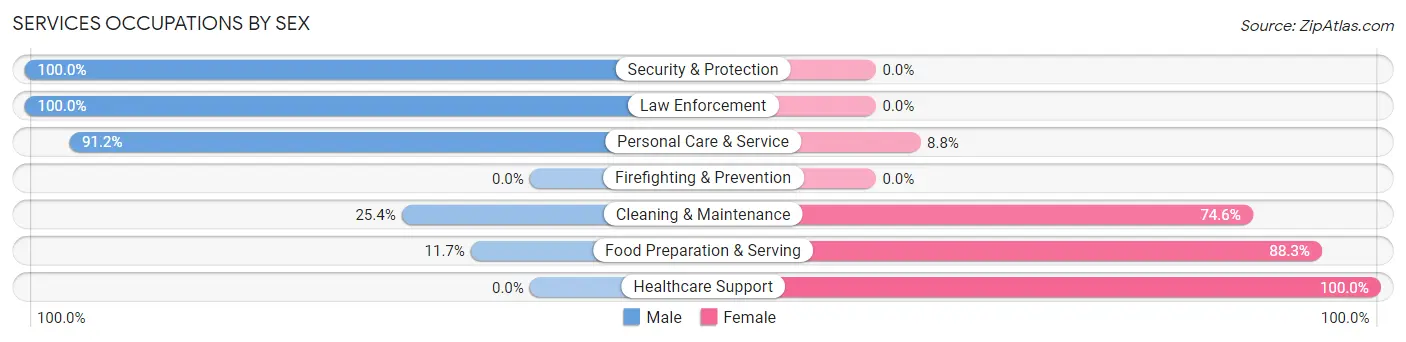 Services Occupations by Sex in Zip Code 29555