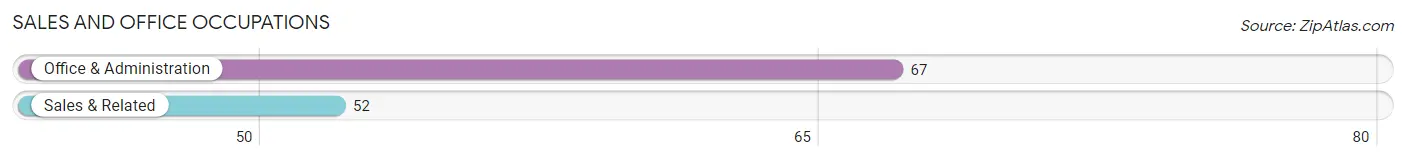 Sales and Office Occupations in Zip Code 29563