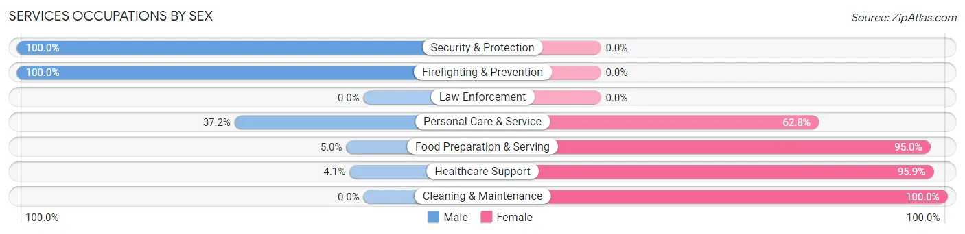 Services Occupations by Sex in Zip Code 29565