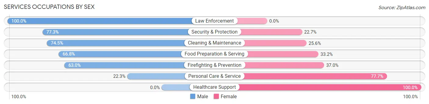 Services Occupations by Sex in Zip Code 29566