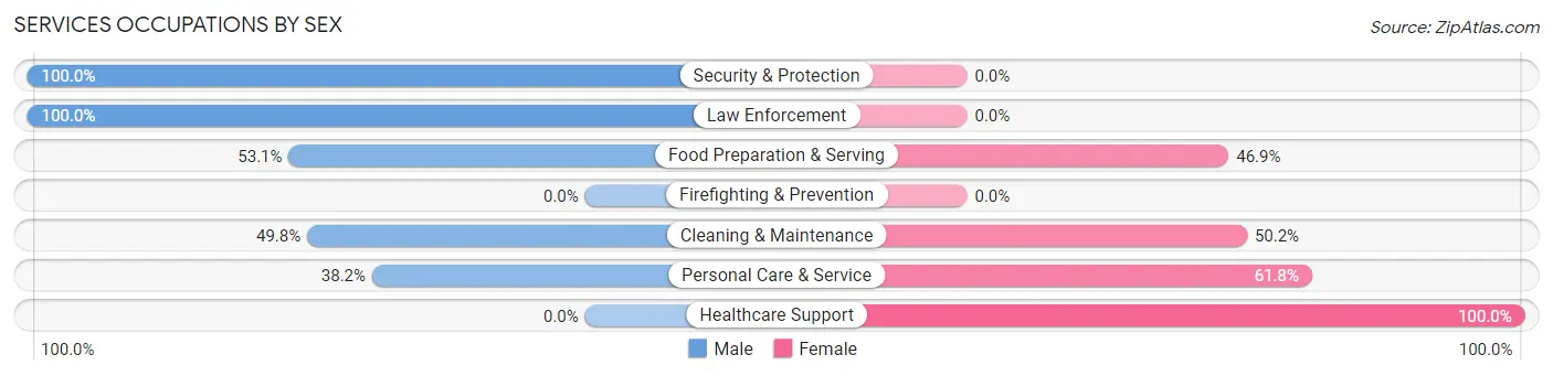 Services Occupations by Sex in Zip Code 29568