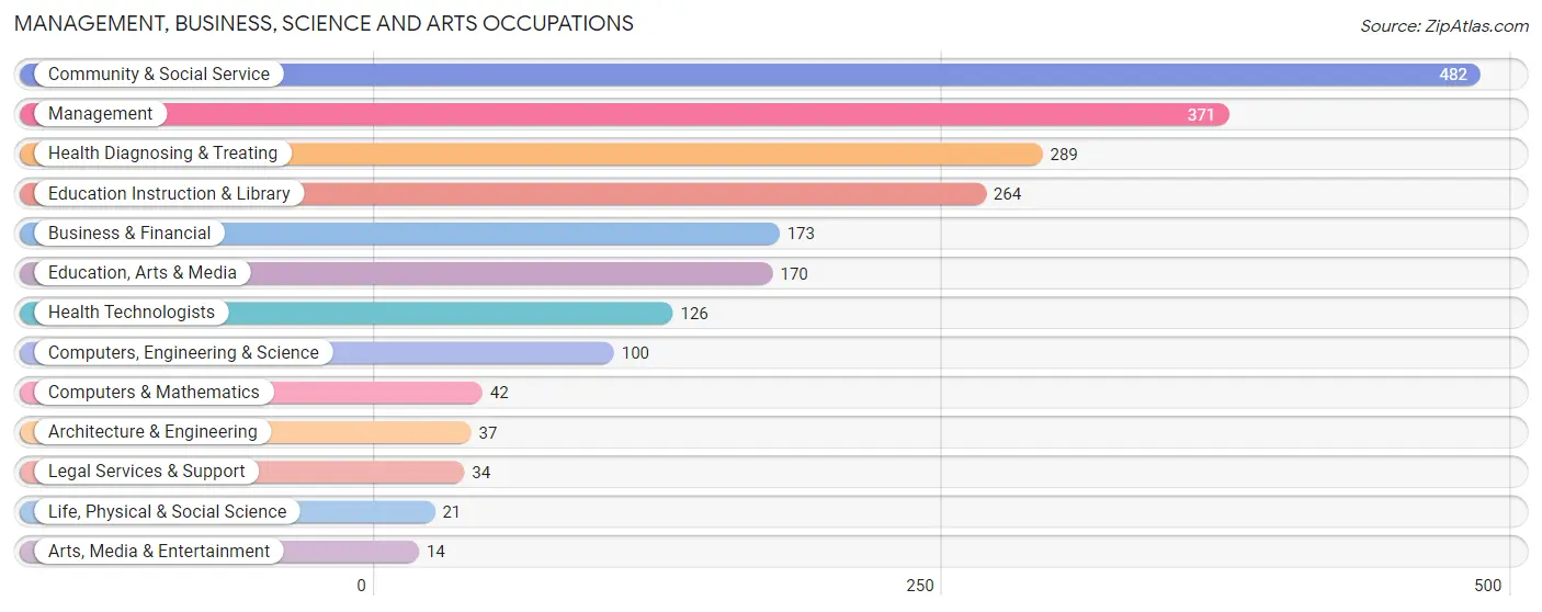 Management, Business, Science and Arts Occupations in Zip Code 29569