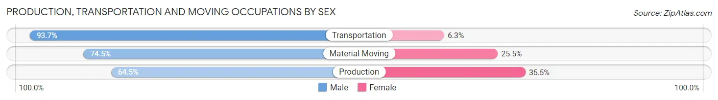 Production, Transportation and Moving Occupations by Sex in Zip Code 29569