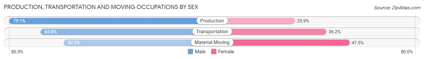 Production, Transportation and Moving Occupations by Sex in Zip Code 29572