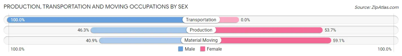 Production, Transportation and Moving Occupations by Sex in Zip Code 29574