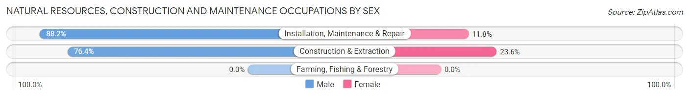 Natural Resources, Construction and Maintenance Occupations by Sex in Zip Code 29575