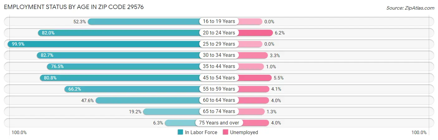 Employment Status by Age in Zip Code 29576