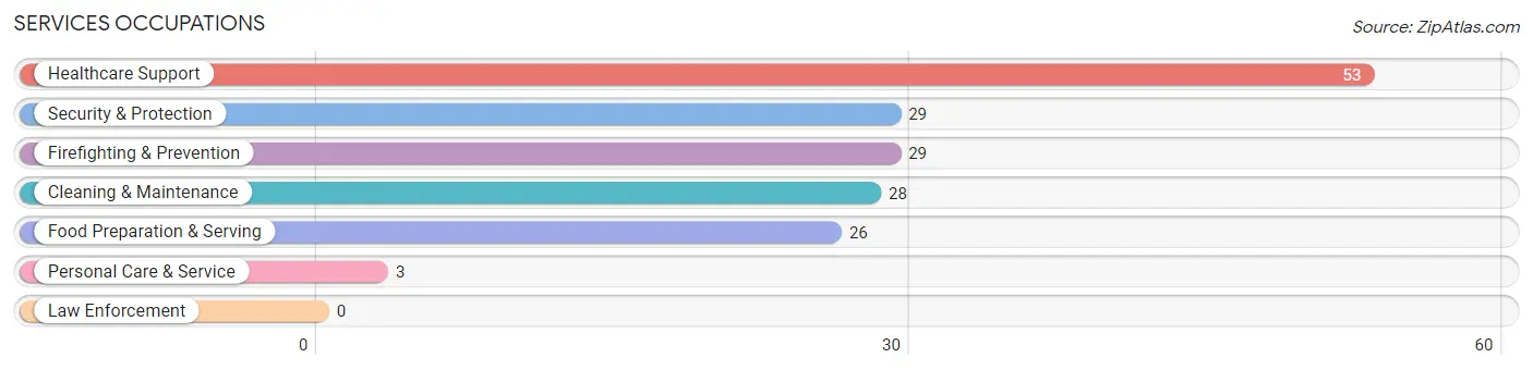 Services Occupations in Zip Code 29584