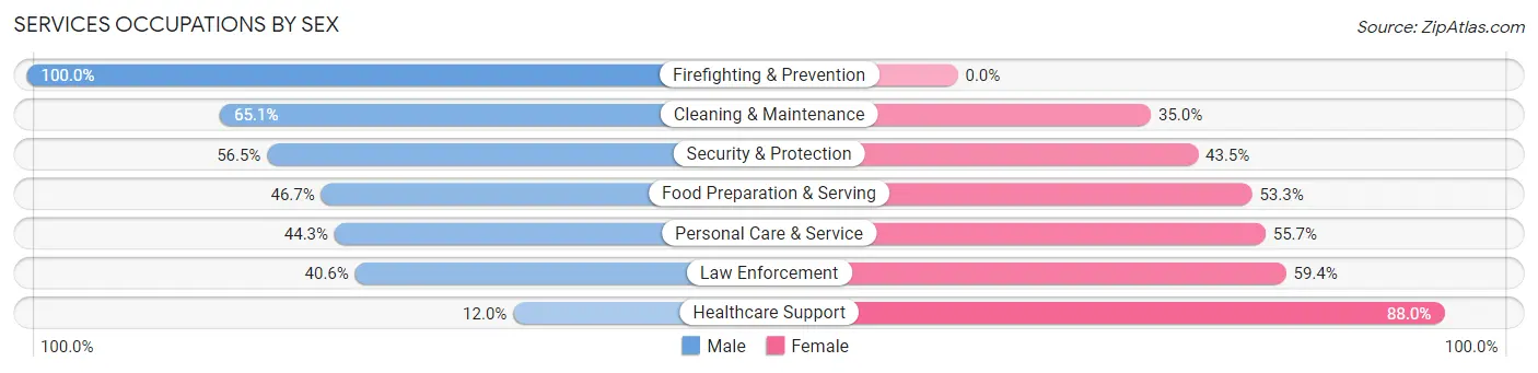 Services Occupations by Sex in Zip Code 29585