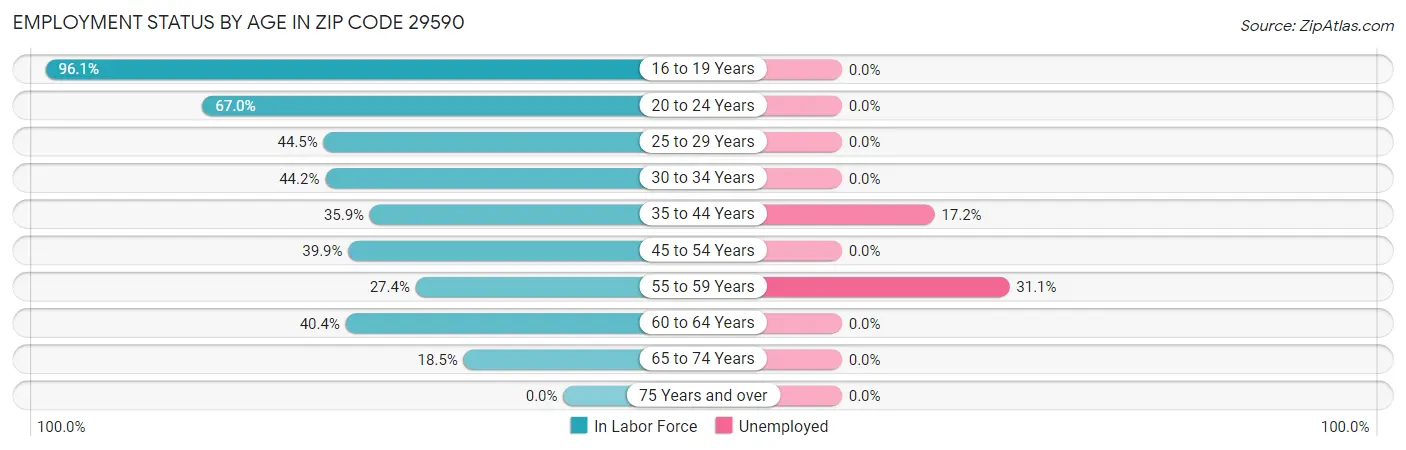 Employment Status by Age in Zip Code 29590