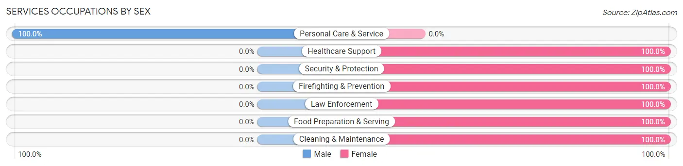 Services Occupations by Sex in Zip Code 29590