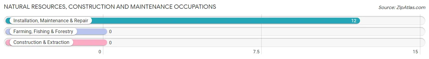 Natural Resources, Construction and Maintenance Occupations in Zip Code 29592