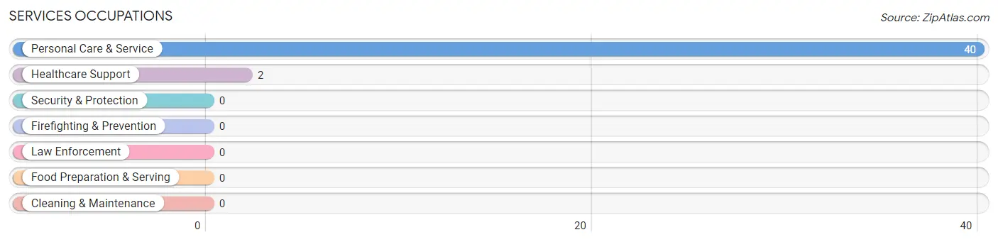 Services Occupations in Zip Code 29592