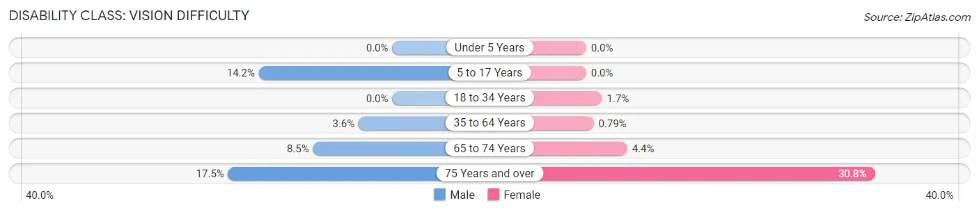 Disability in Zip Code 29593: <span>Vision Difficulty</span>