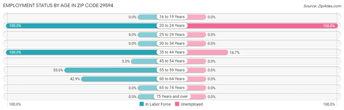Employment Status by Age in Zip Code 29594