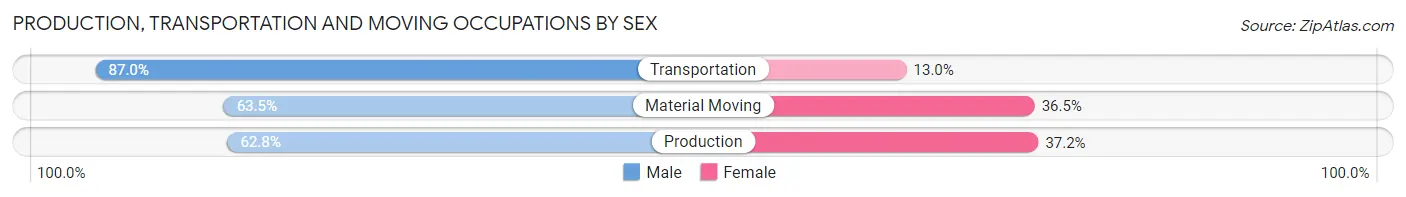Production, Transportation and Moving Occupations by Sex in Zip Code 29601