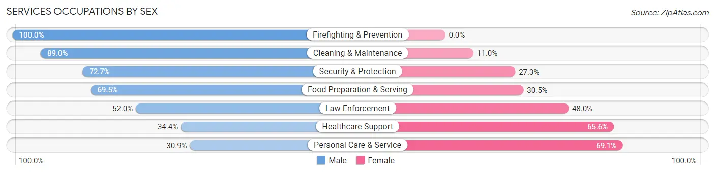 Services Occupations by Sex in Zip Code 29601
