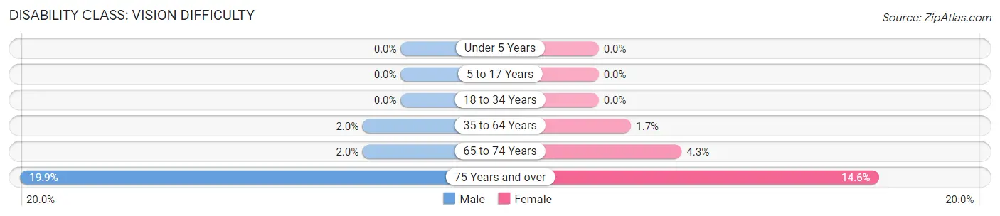 Disability in Zip Code 29601: <span>Vision Difficulty</span>