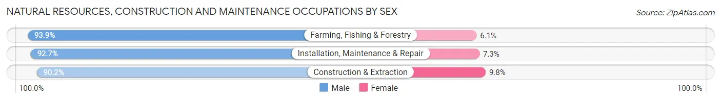 Natural Resources, Construction and Maintenance Occupations by Sex in Zip Code 29605