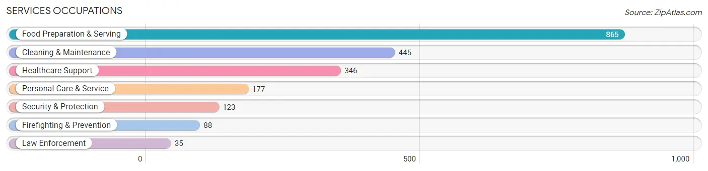 Services Occupations in Zip Code 29609