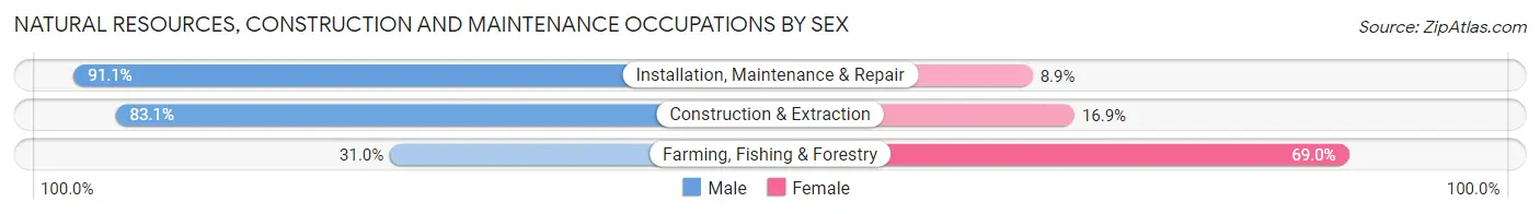 Natural Resources, Construction and Maintenance Occupations by Sex in Zip Code 29611
