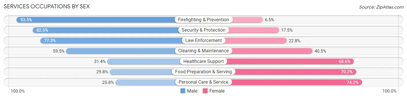 Services Occupations by Sex in Zip Code 29625