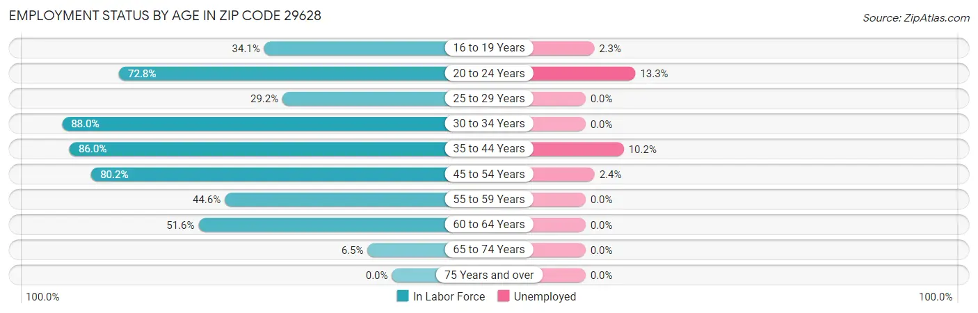Employment Status by Age in Zip Code 29628