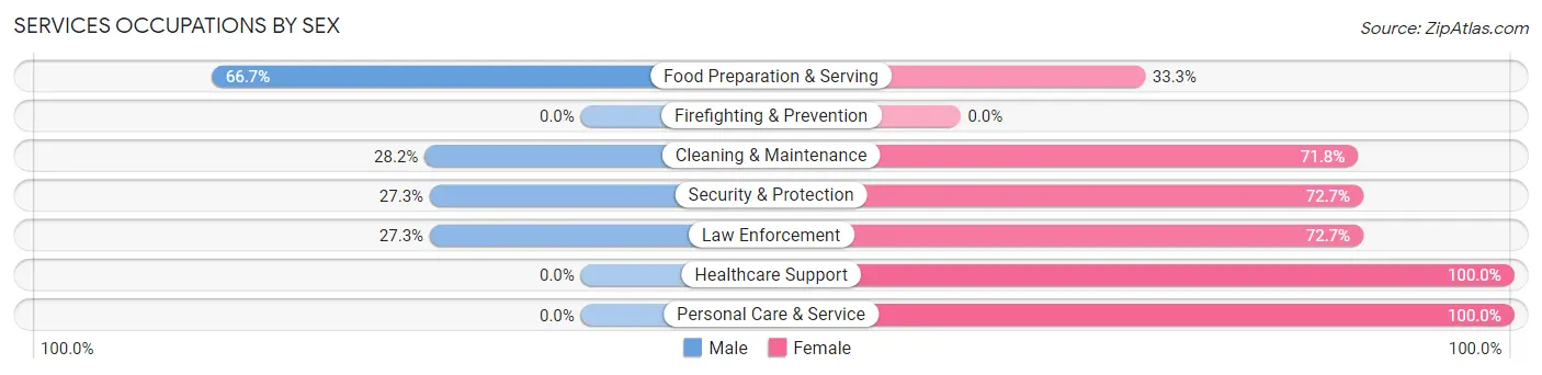 Services Occupations by Sex in Zip Code 29628