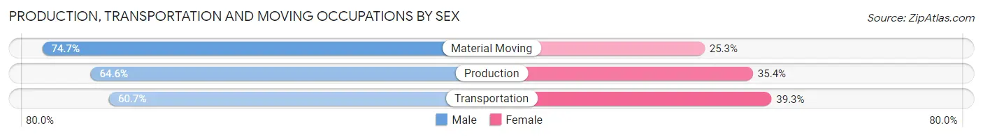 Production, Transportation and Moving Occupations by Sex in Zip Code 29630