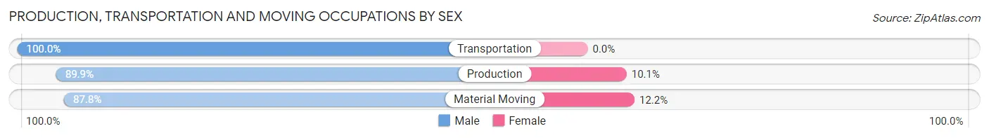 Production, Transportation and Moving Occupations by Sex in Zip Code 29635