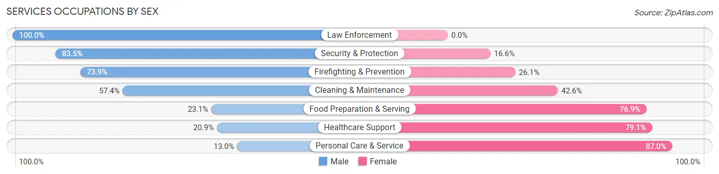 Services Occupations by Sex in Zip Code 29640