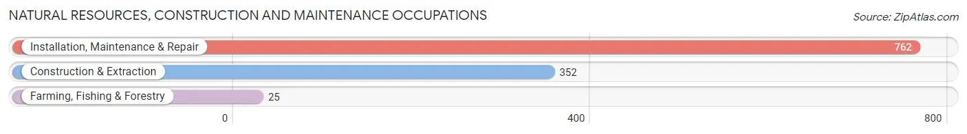 Natural Resources, Construction and Maintenance Occupations in Zip Code 29646