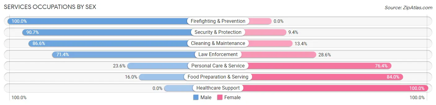 Services Occupations by Sex in Zip Code 29649