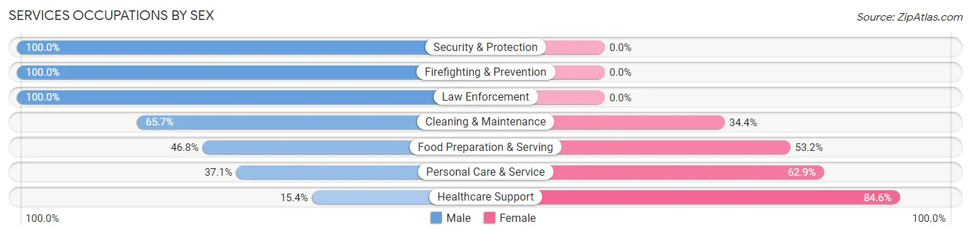 Services Occupations by Sex in Zip Code 29650