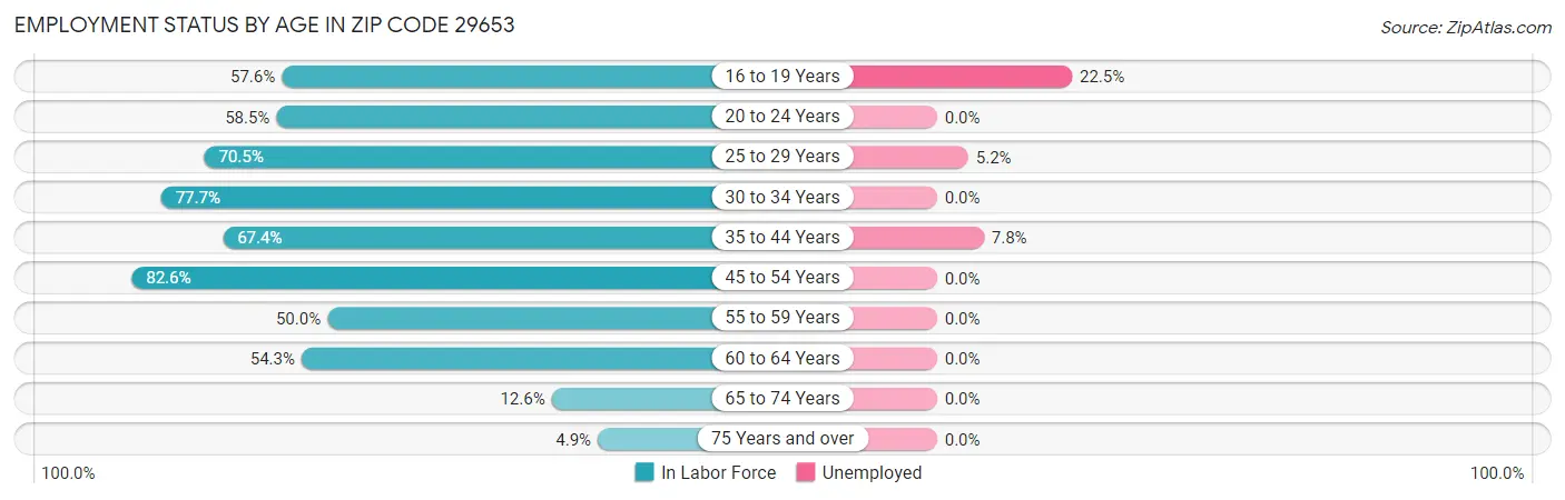 Employment Status by Age in Zip Code 29653