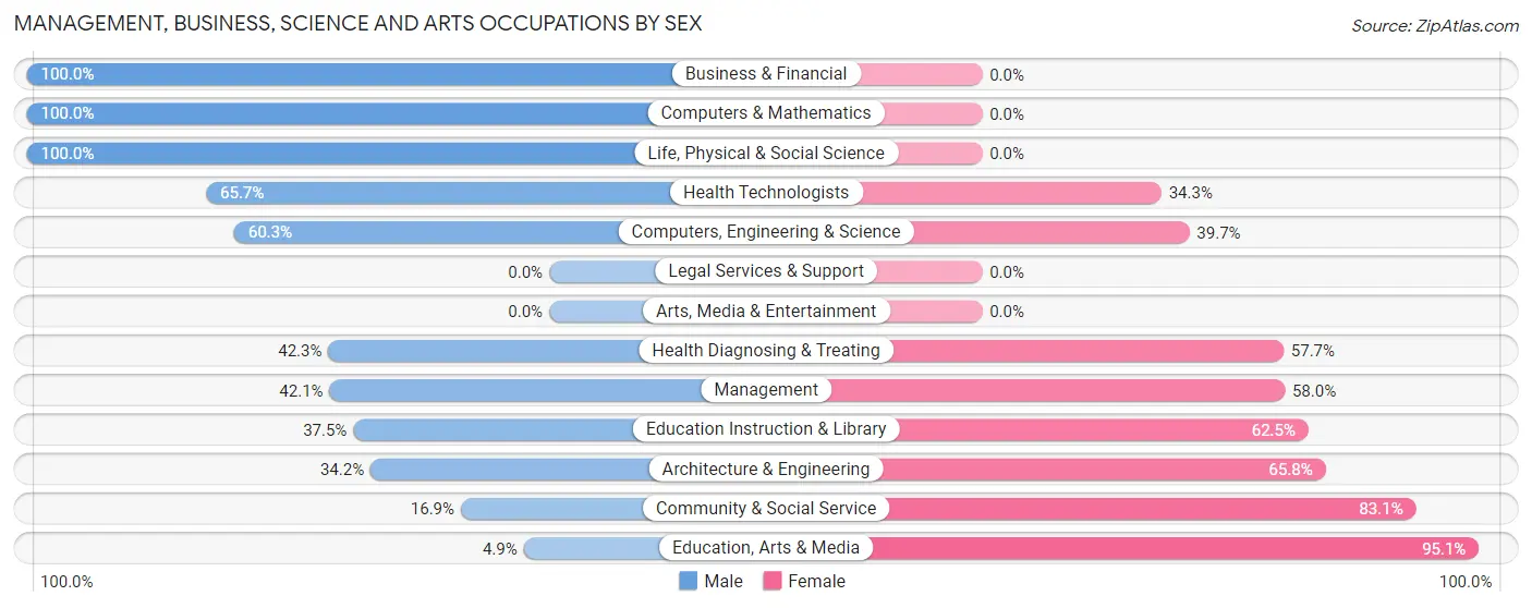Management, Business, Science and Arts Occupations by Sex in Zip Code 29653