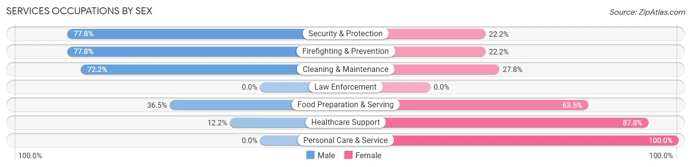 Services Occupations by Sex in Zip Code 29653