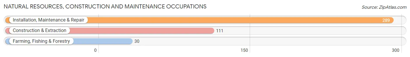 Natural Resources, Construction and Maintenance Occupations in Zip Code 29655