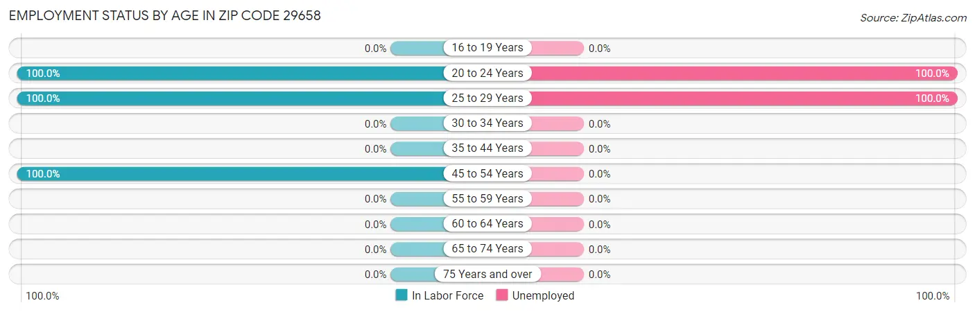 Employment Status by Age in Zip Code 29658