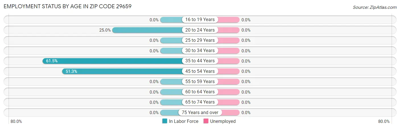Employment Status by Age in Zip Code 29659