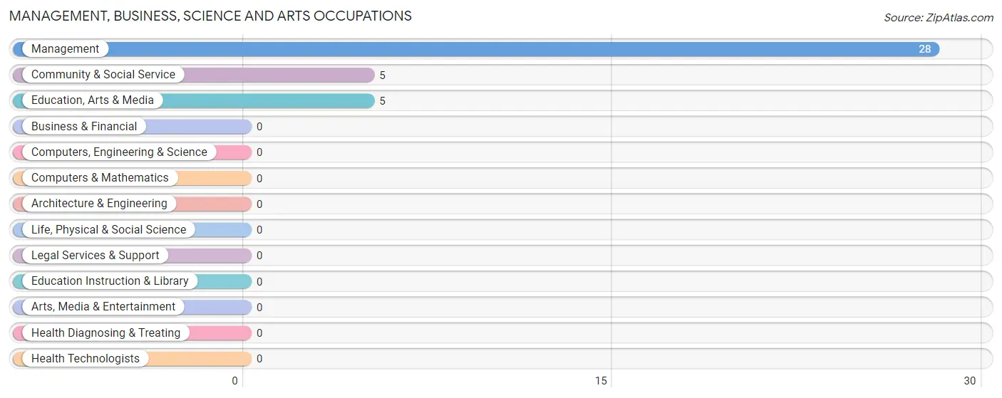 Management, Business, Science and Arts Occupations in Zip Code 29659