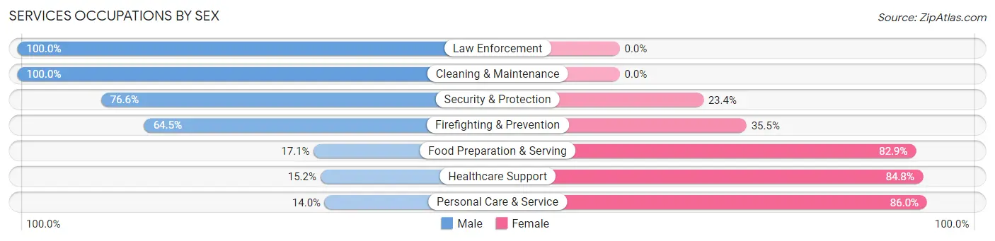 Services Occupations by Sex in Zip Code 29662