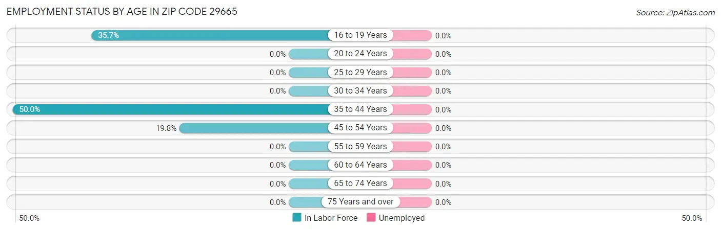 Employment Status by Age in Zip Code 29665
