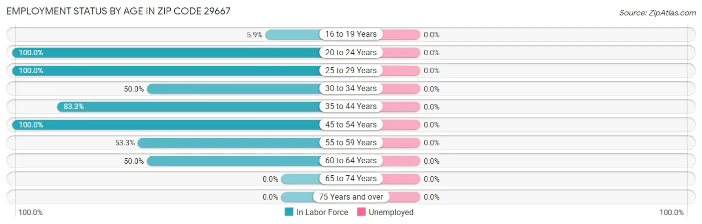 Employment Status by Age in Zip Code 29667