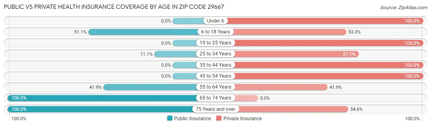 Public vs Private Health Insurance Coverage by Age in Zip Code 29667