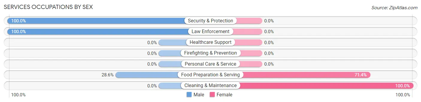 Services Occupations by Sex in Zip Code 29667