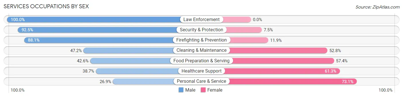 Services Occupations by Sex in Zip Code 29669