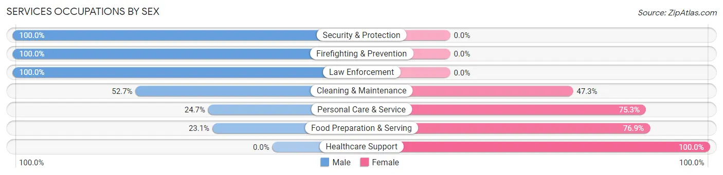 Services Occupations by Sex in Zip Code 29673