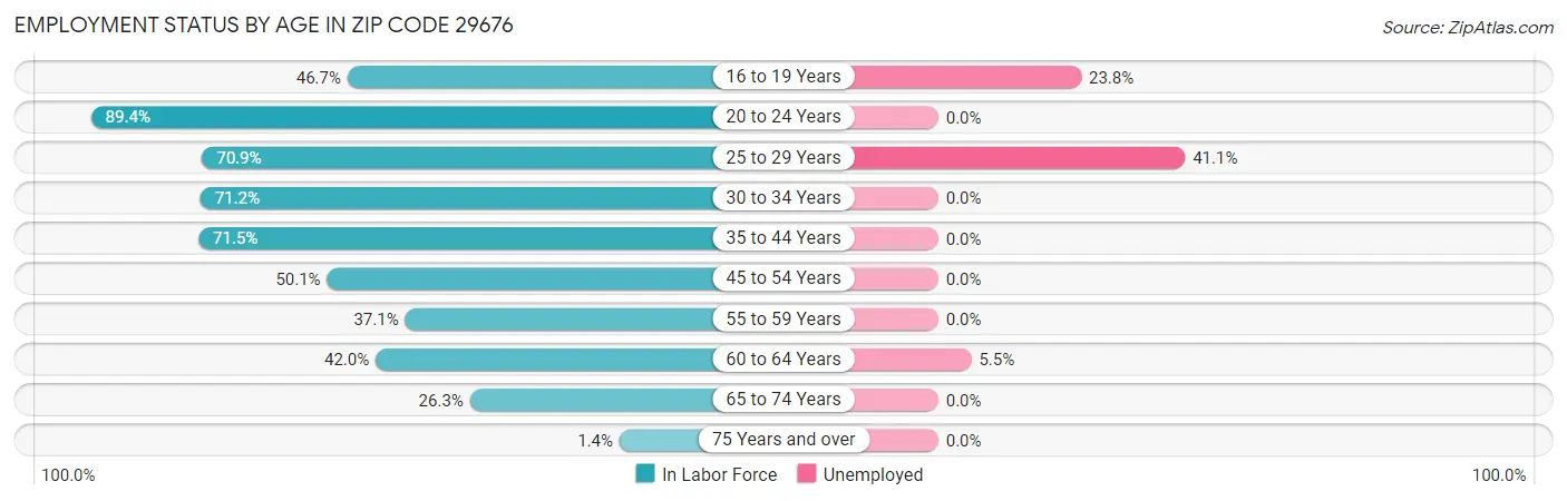 Employment Status by Age in Zip Code 29676