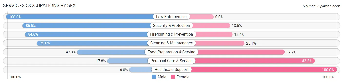 Services Occupations by Sex in Zip Code 29678